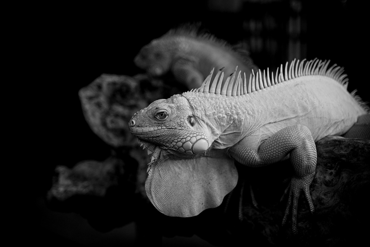 発毛サプリが効かない理由とは？